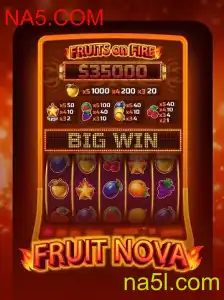 Desbravando o Mundo de FruitNova: Uma Jornada Através das Frutas